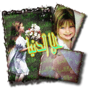 Posted Image